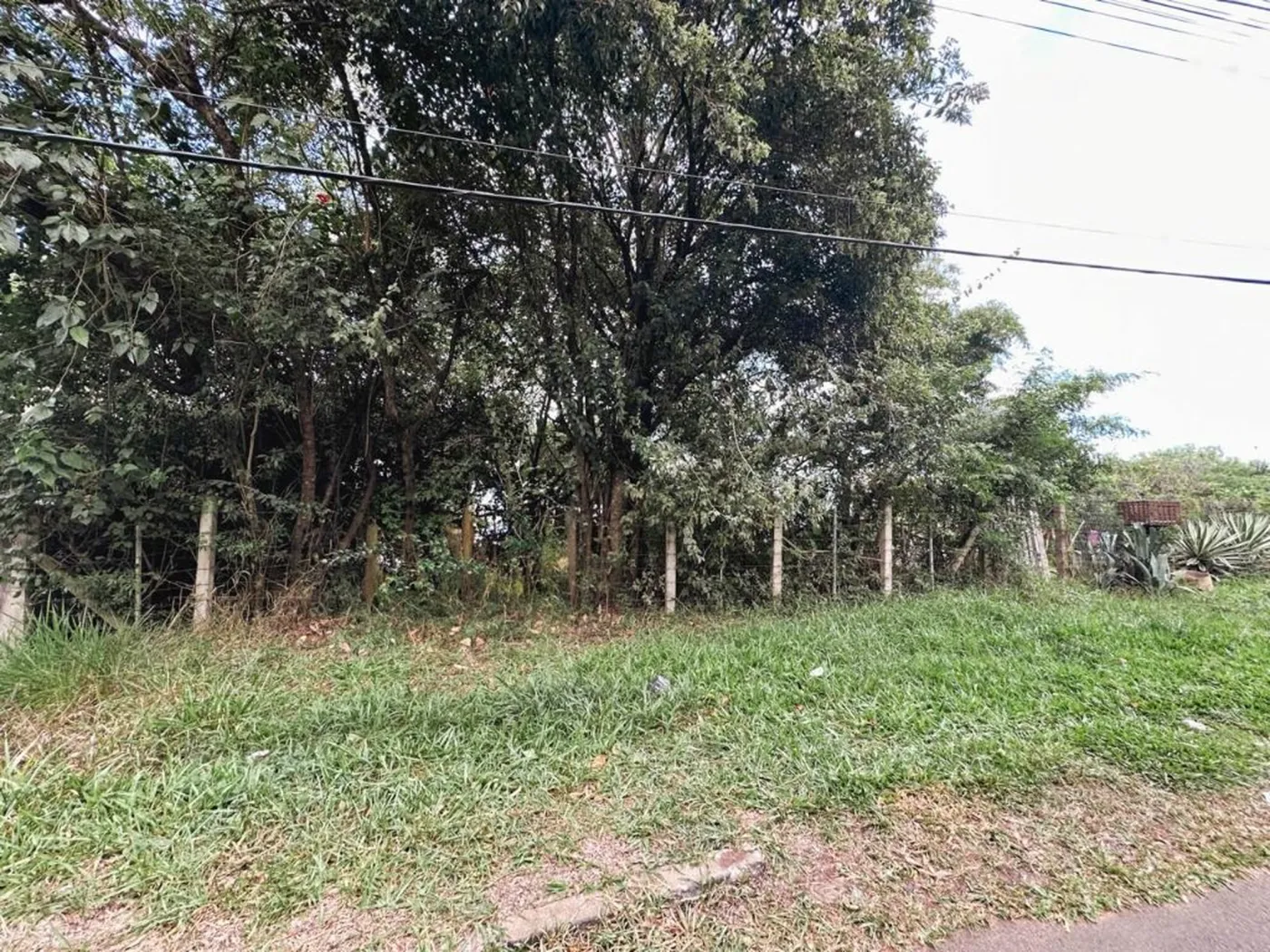 JTN 288 Lote TE0028 - Guiar Imóveis Exclusividades — foto 4