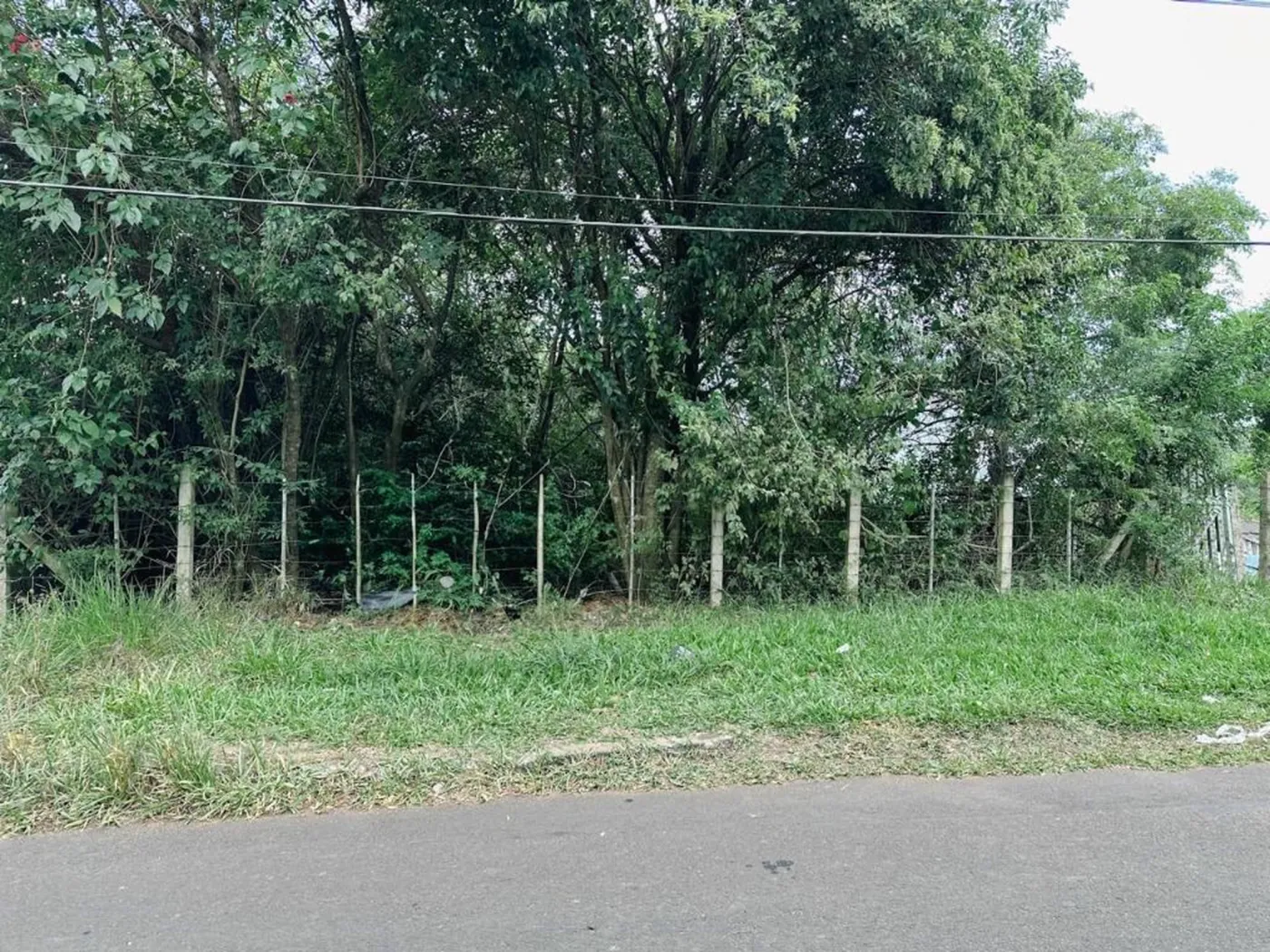 JTN 288 Lote TE0028 - Guiar Imóveis Exclusividades — foto 5