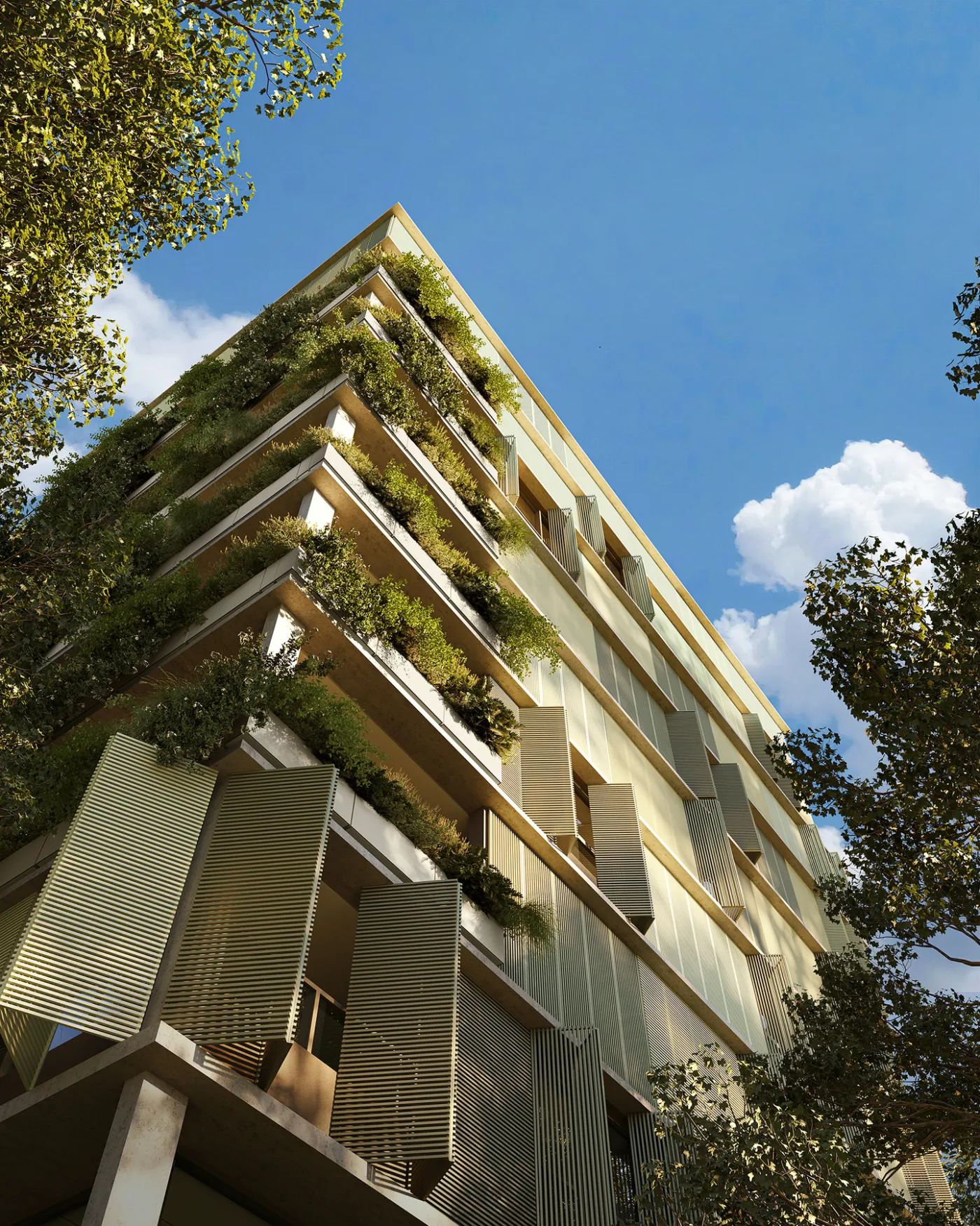 Ourá Alto de Pinheiros - Toca 55 — foto 4