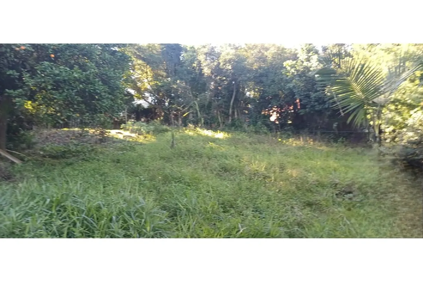 AHDACB 1301 612531061-12 - Remax MC3 Exclusividades — foto 3