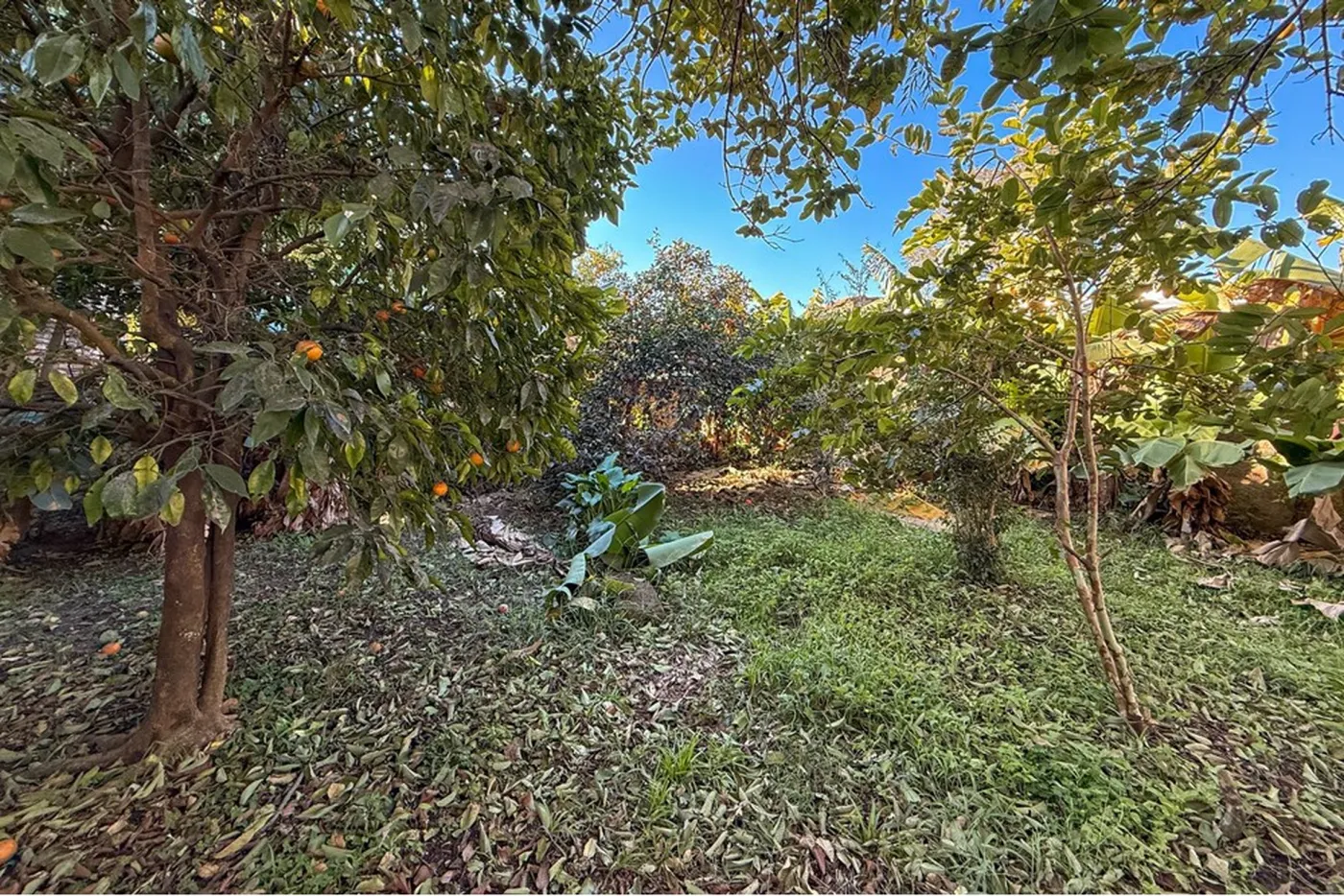 NOL 72 Lote 612651056-8 - REMAX Pillares Exclusividades — foto 2