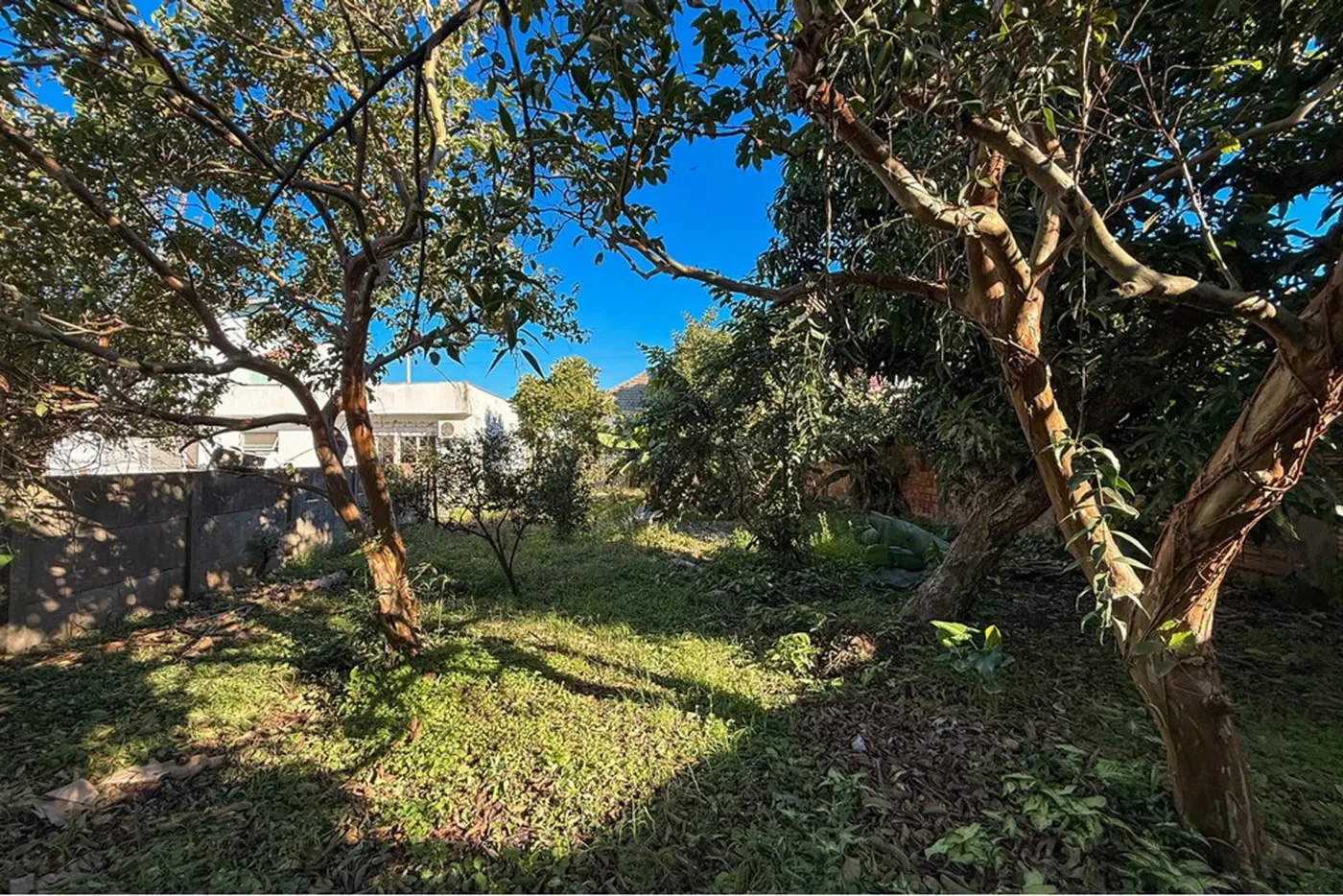NOL 72 Lote 612651056-8 - REMAX Pillares Exclusividades — foto 3