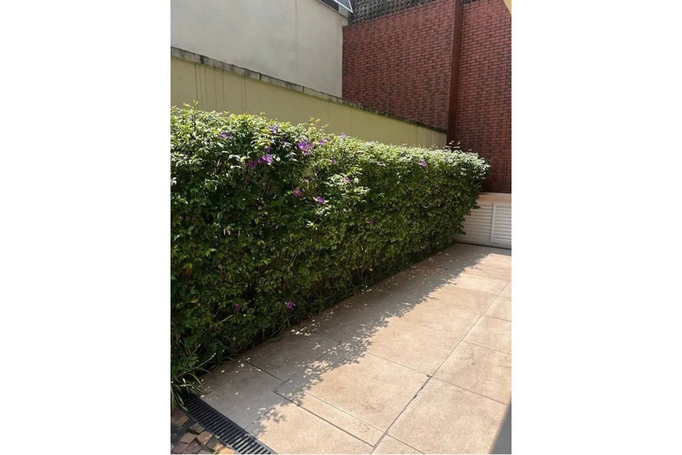 RPJCDAM 541 Casa 601361051-23 - REMAX Trio Exclusividades — foto 3