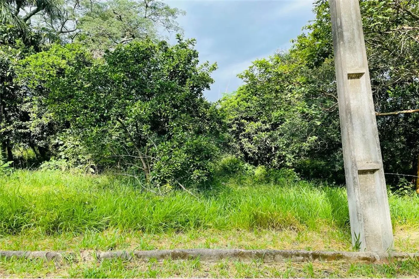 CMCF 2 Lote 612651033-85 - REMAX Pillares Exclusividades — foto 5