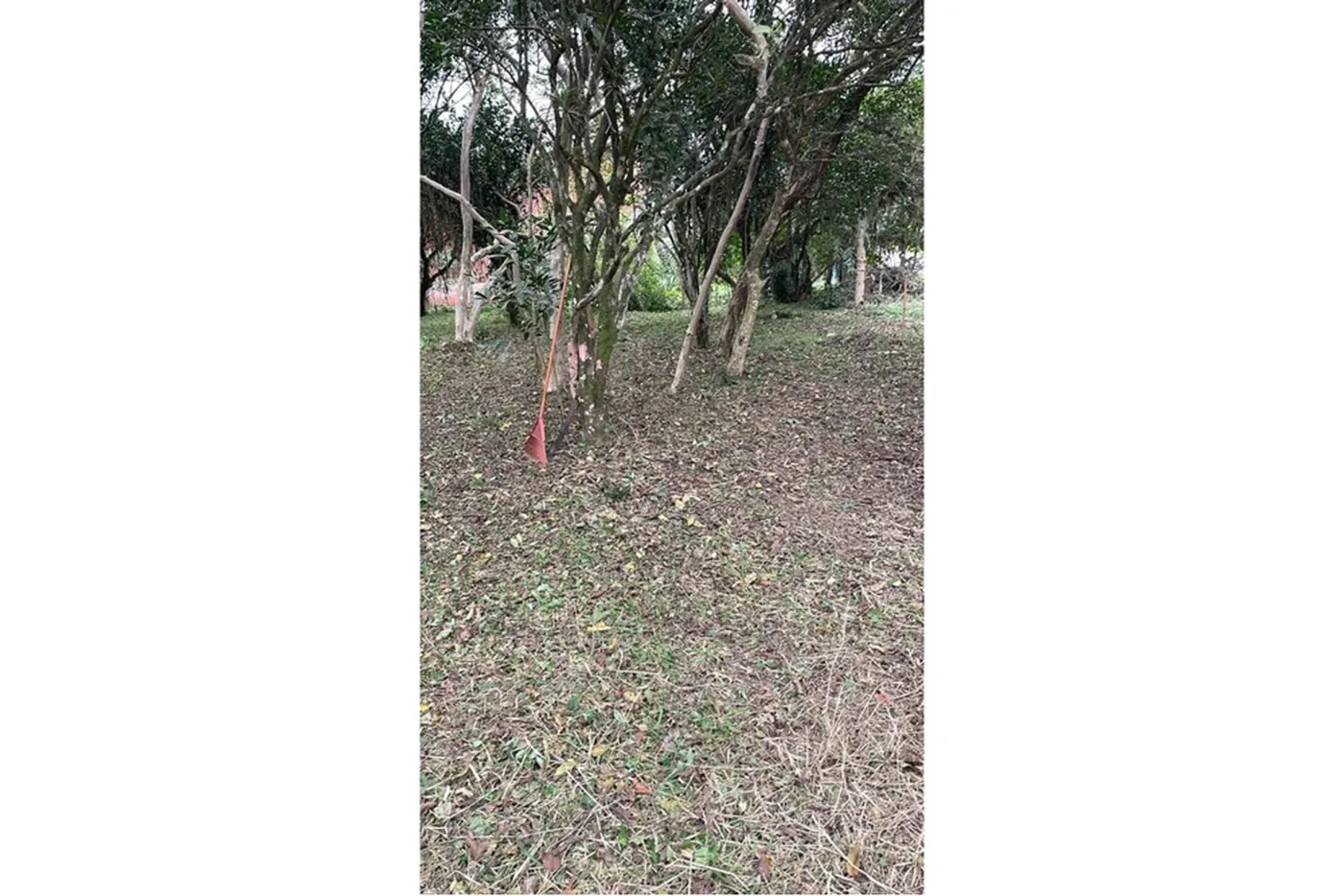 CMCF 2 Lote 612651033-85 - REMAX Pillares Exclusividades — foto 3