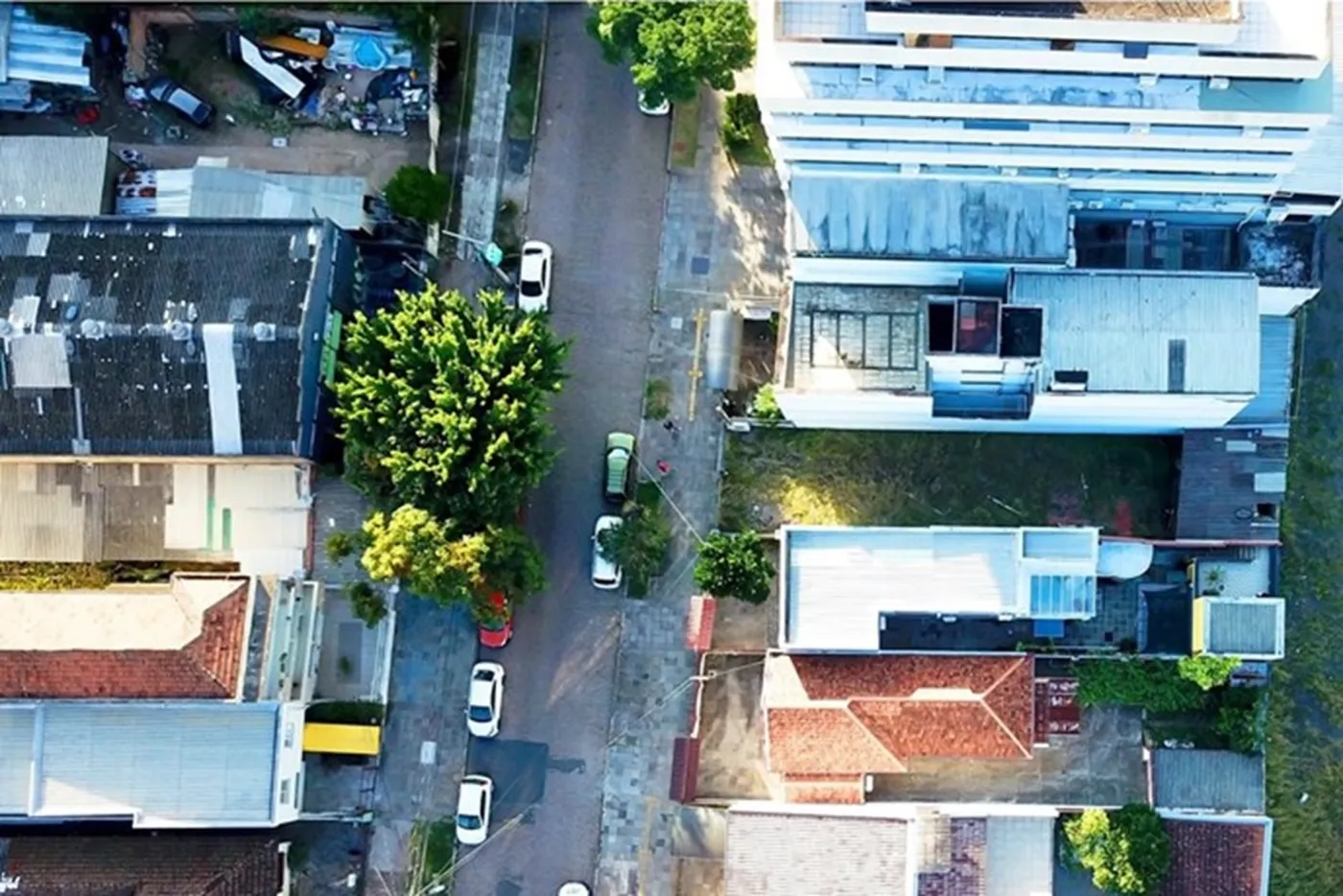 SGJ 684 Lote 610441004-4 - REMAX Diamond Orla Exclusividades — foto 5
