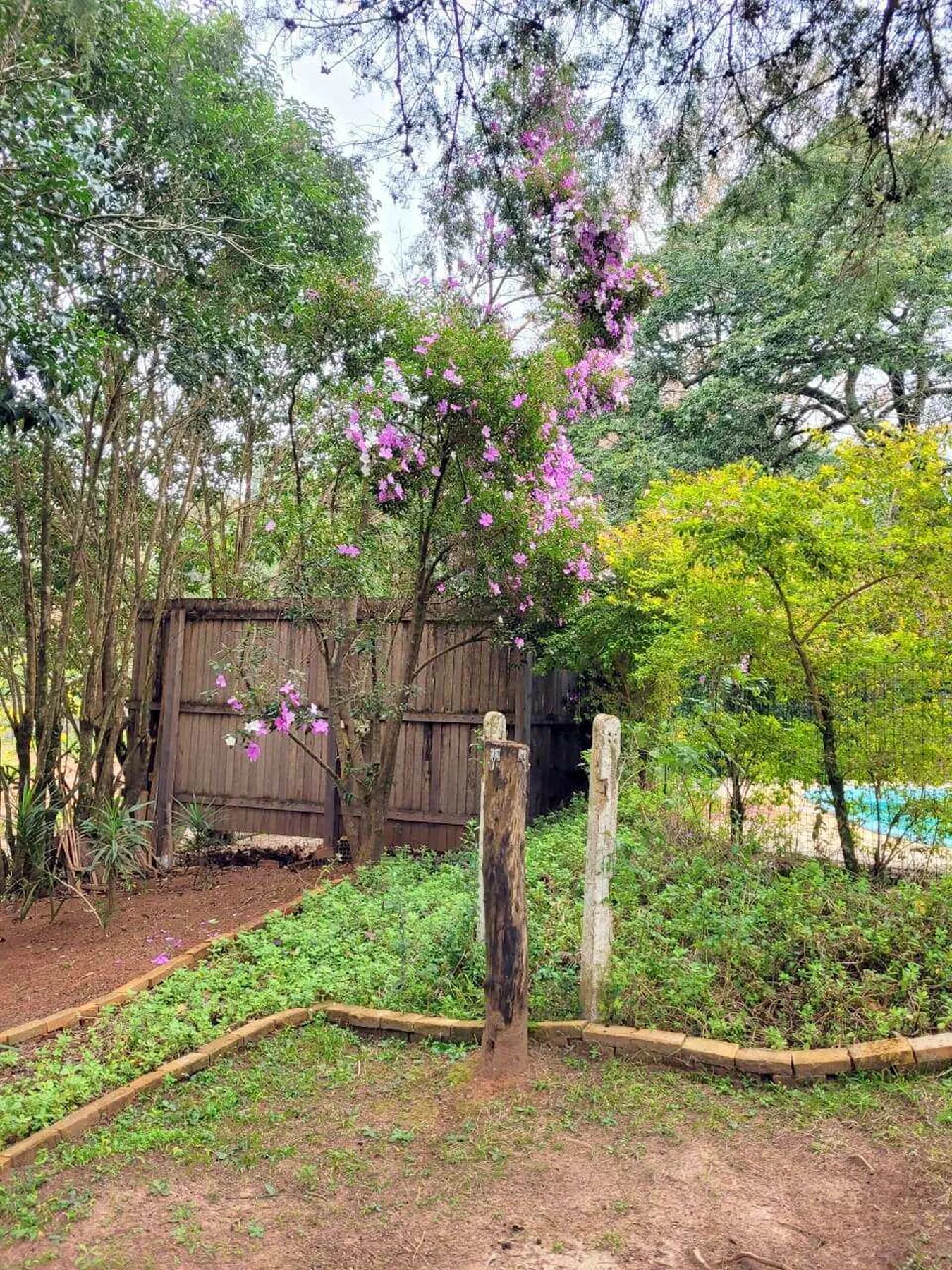 PEDC 0 Casa SI0001 - Sant'Anna Imóveis Exclusividades — foto 2