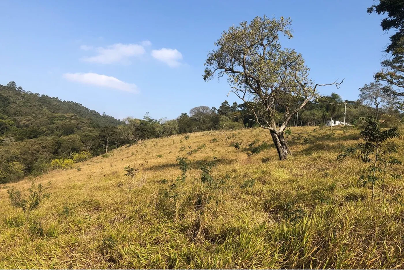 QDMEDM 1600 Lote 601081091-2 - REMAX Lepex Exclusividades — foto 3