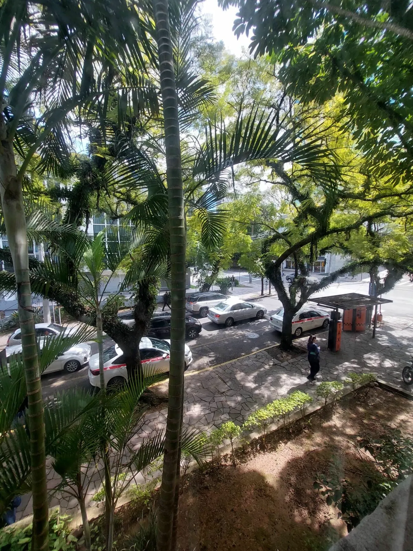 MDVM 291 Sala 253 - FP Imóveis Exclusividades — foto 3