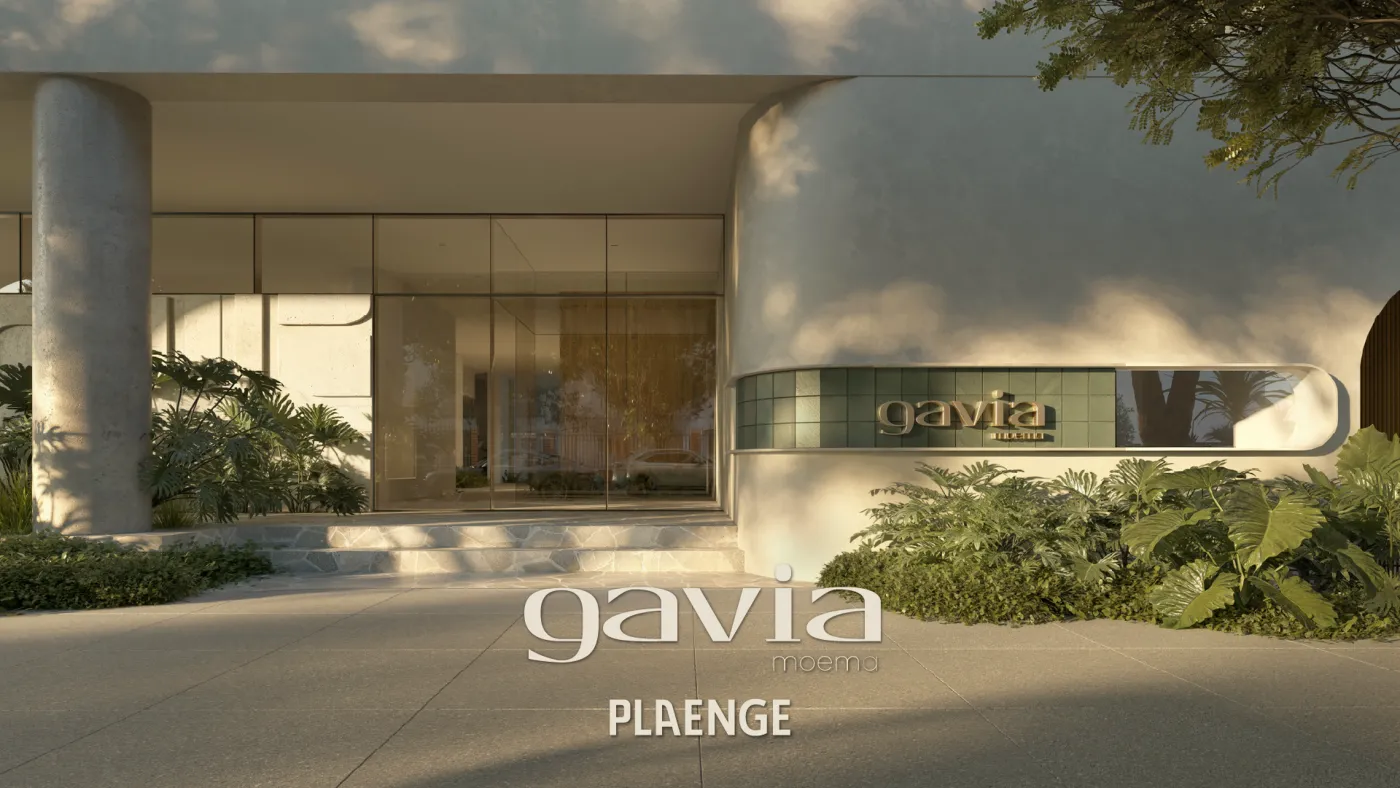 Gavia Moema - Breve Lançamento