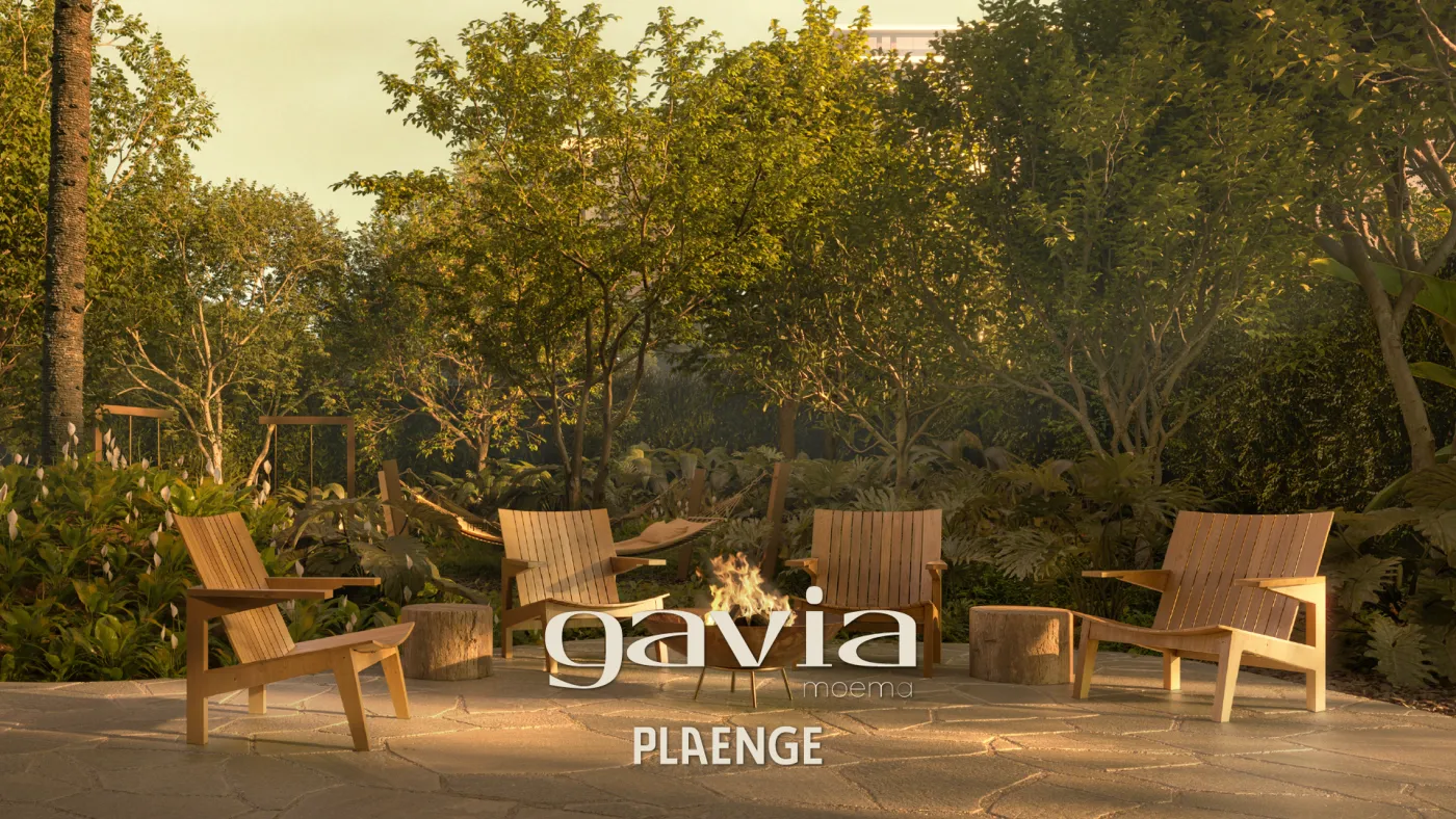Gavia Moema - Breve Lançamento — foto 2
