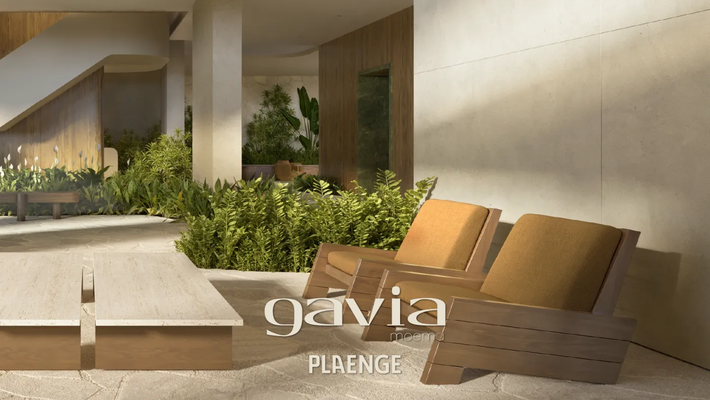 Gavia Moema - Breve Lançamento — foto 3