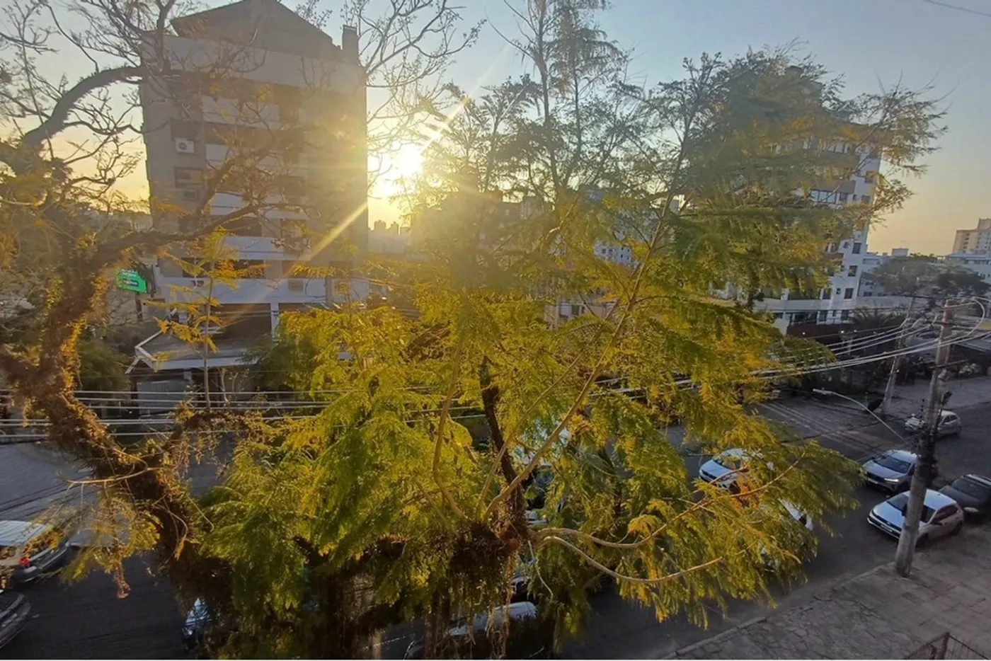 PDJW 840 Apto 612541029-12 - REMAX Street Exclusividades — foto 5