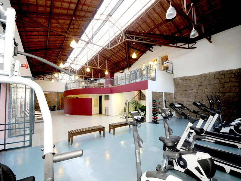 Quinta do Pinhal - FA OLIVA — foto 3