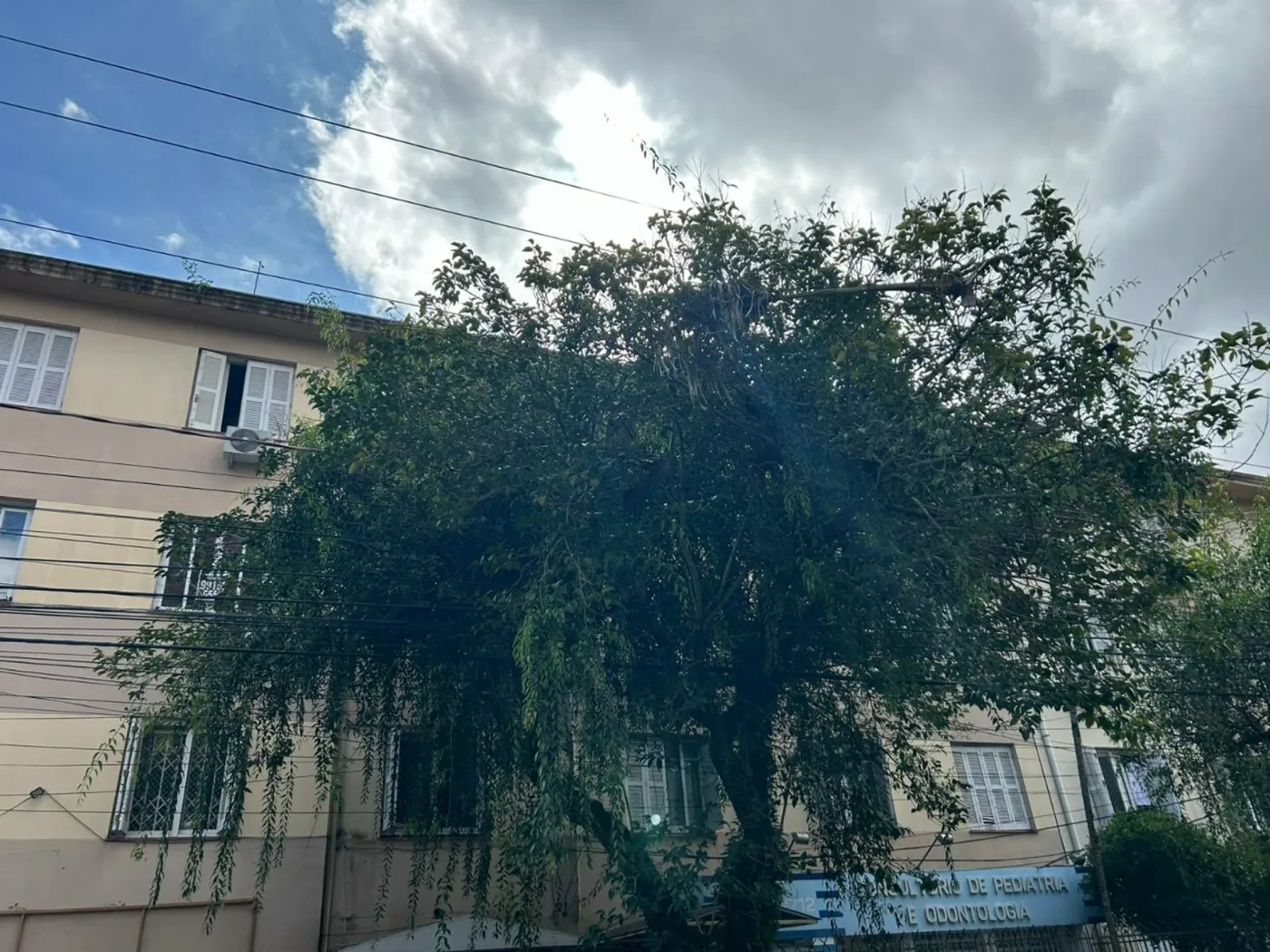 Oscar Barbedo de Noronha Apto CA56366155 - Imobiliária Castel Exclusividades — foto 4
