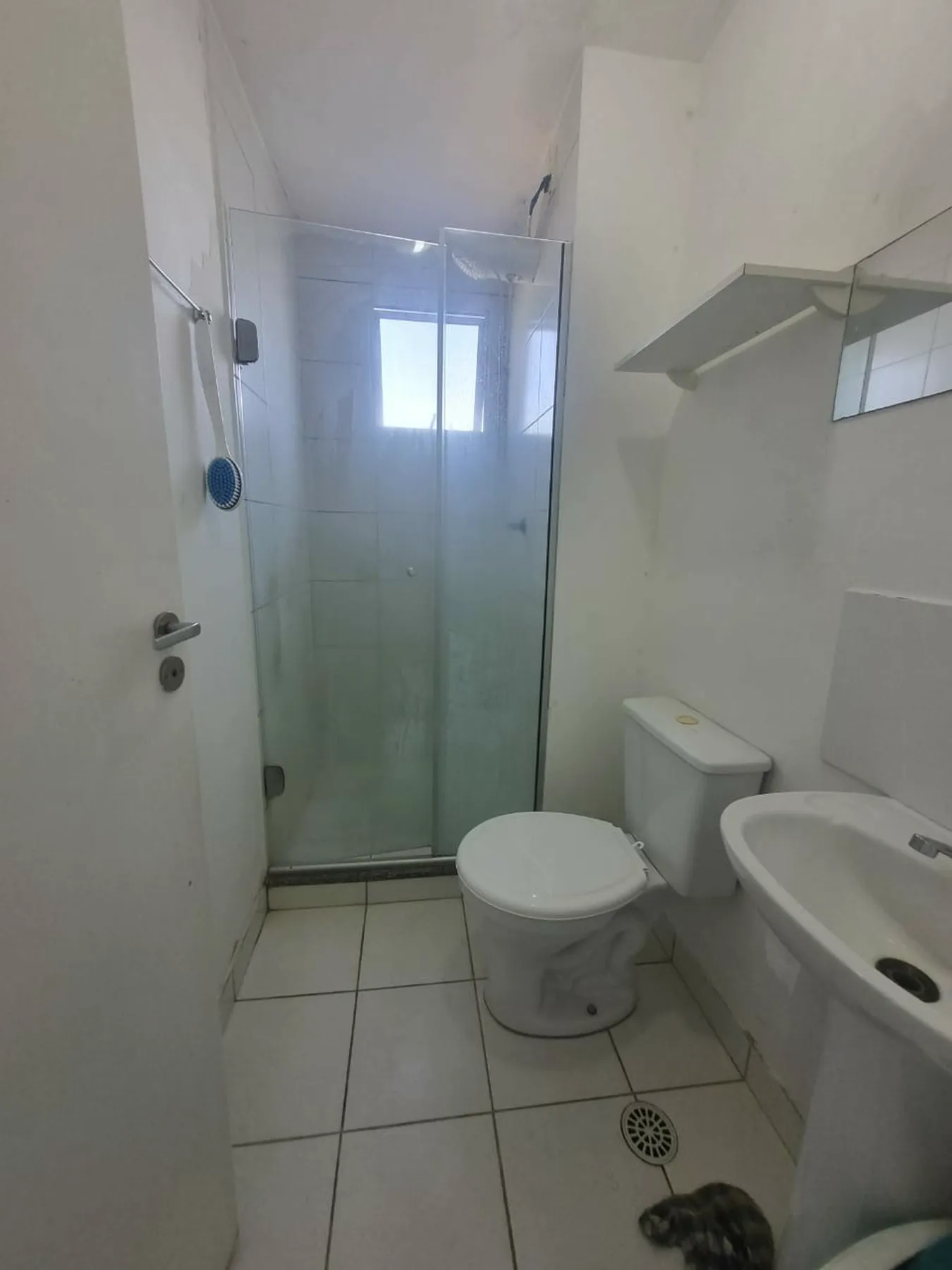 Jardim Figueira Apto CA56365674 - Imobiliária Castel Exclusividades — foto 4