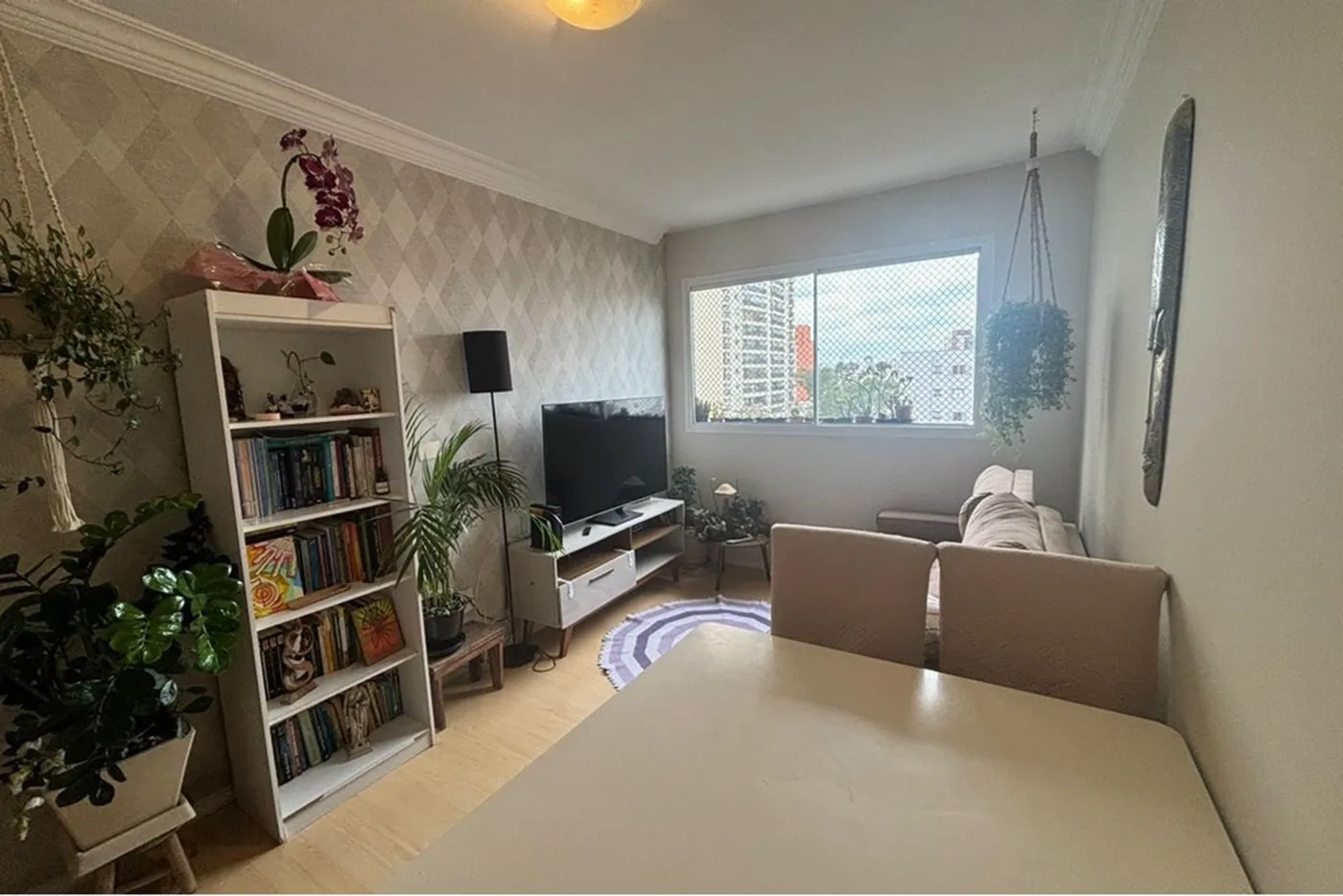 CLF 570 Apto 601401007-77 - REMAX Paradisus Exclusividades