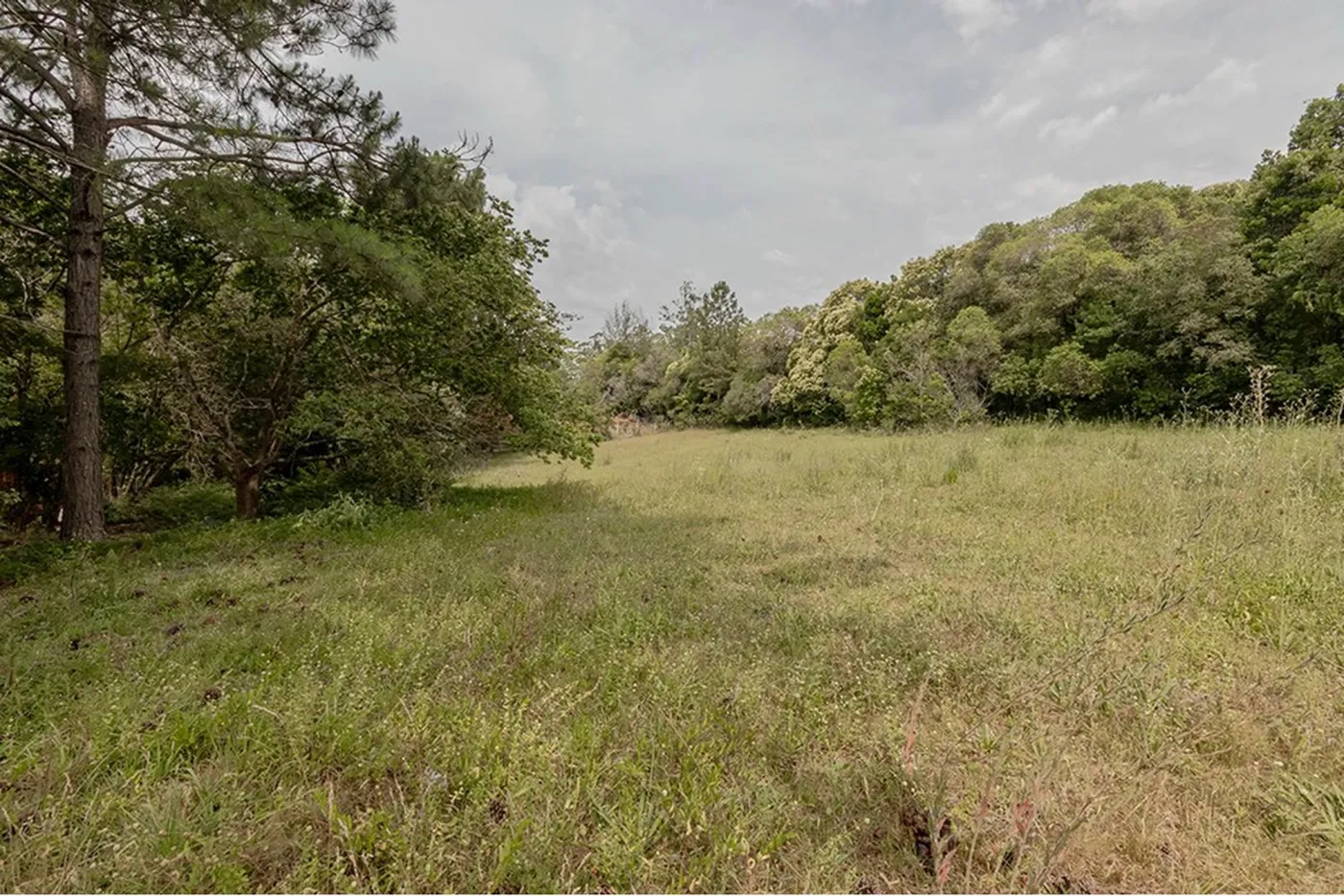 BVDR 1641 Lote 612521075-18 - REMAX Place Exclusividades — foto 2