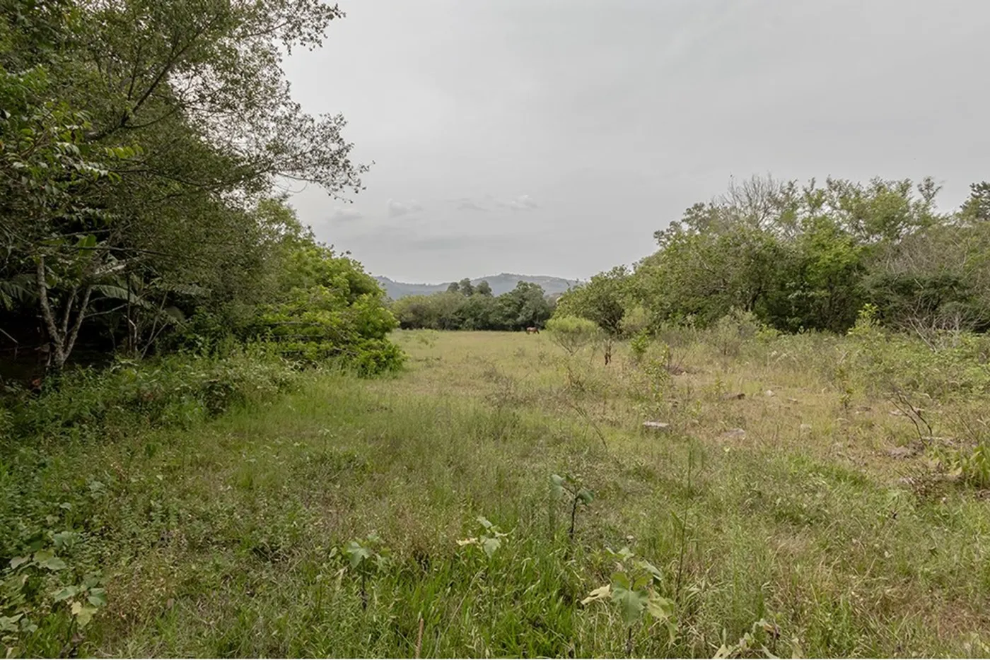 BVDR 1641 Lote 612521075-18 - REMAX Place Exclusividades — foto 5
