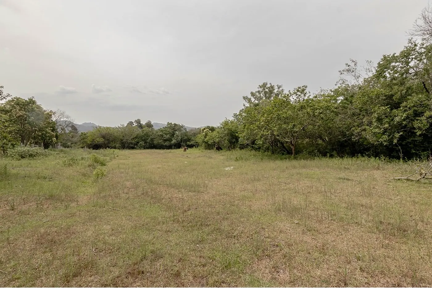 BVDR 1641 Lote 612521075-18 - REMAX Place Exclusividades — foto 4