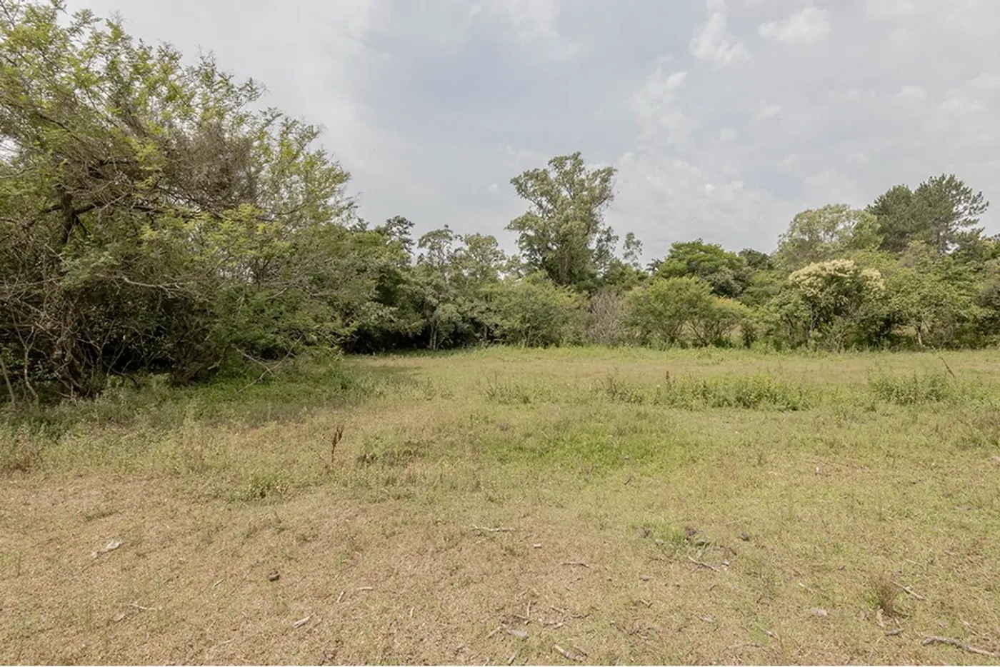 BVDR 1641 Lote 612521075-18 - REMAX Place Exclusividades — foto 3