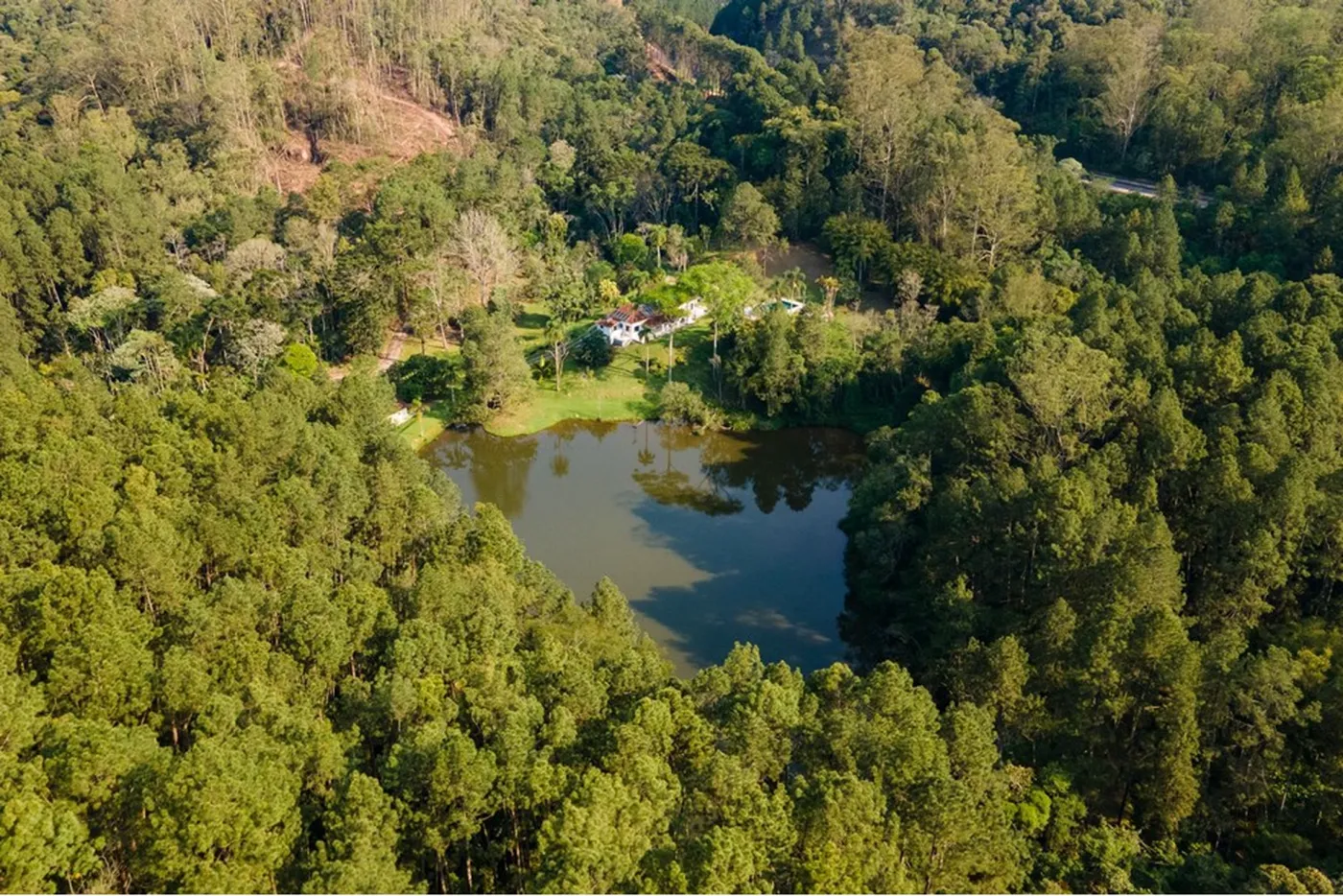PDE 1 601241004-81 - REMAX Ville Exclusividades — foto 4