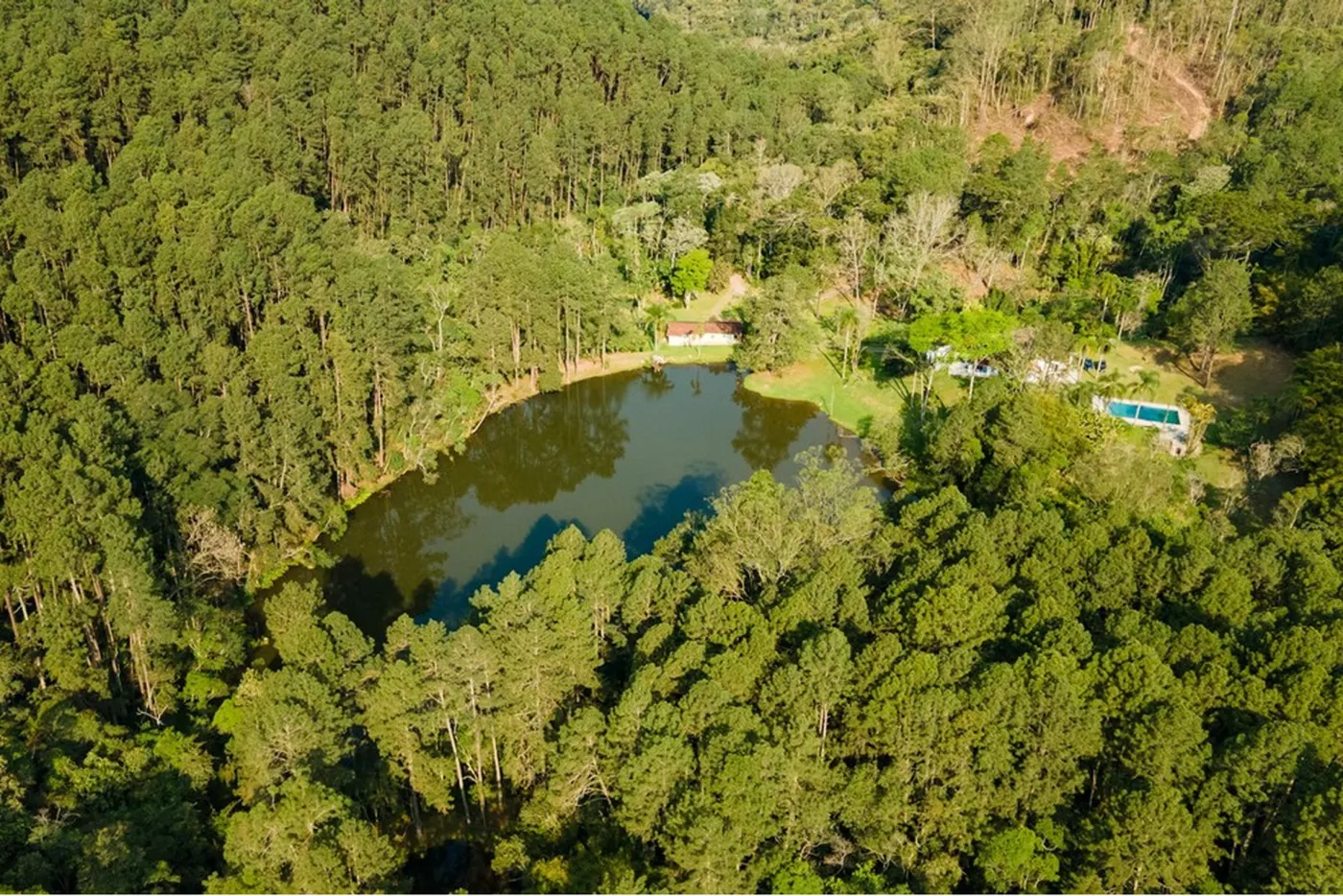 PDE 1 601241004-81 - REMAX Ville Exclusividades — foto 5