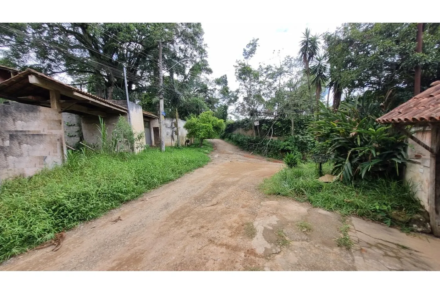 RVDSDT 1001 Lote 601361048-52 - REMAX Trio Exclusividades — foto 4