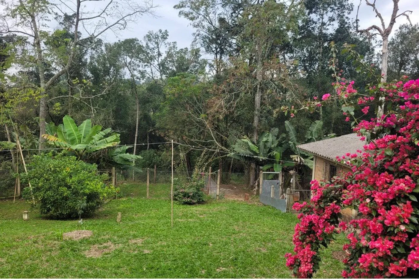 CM 1267 612541001-249 - REMAX Street Exclusividades — foto 5