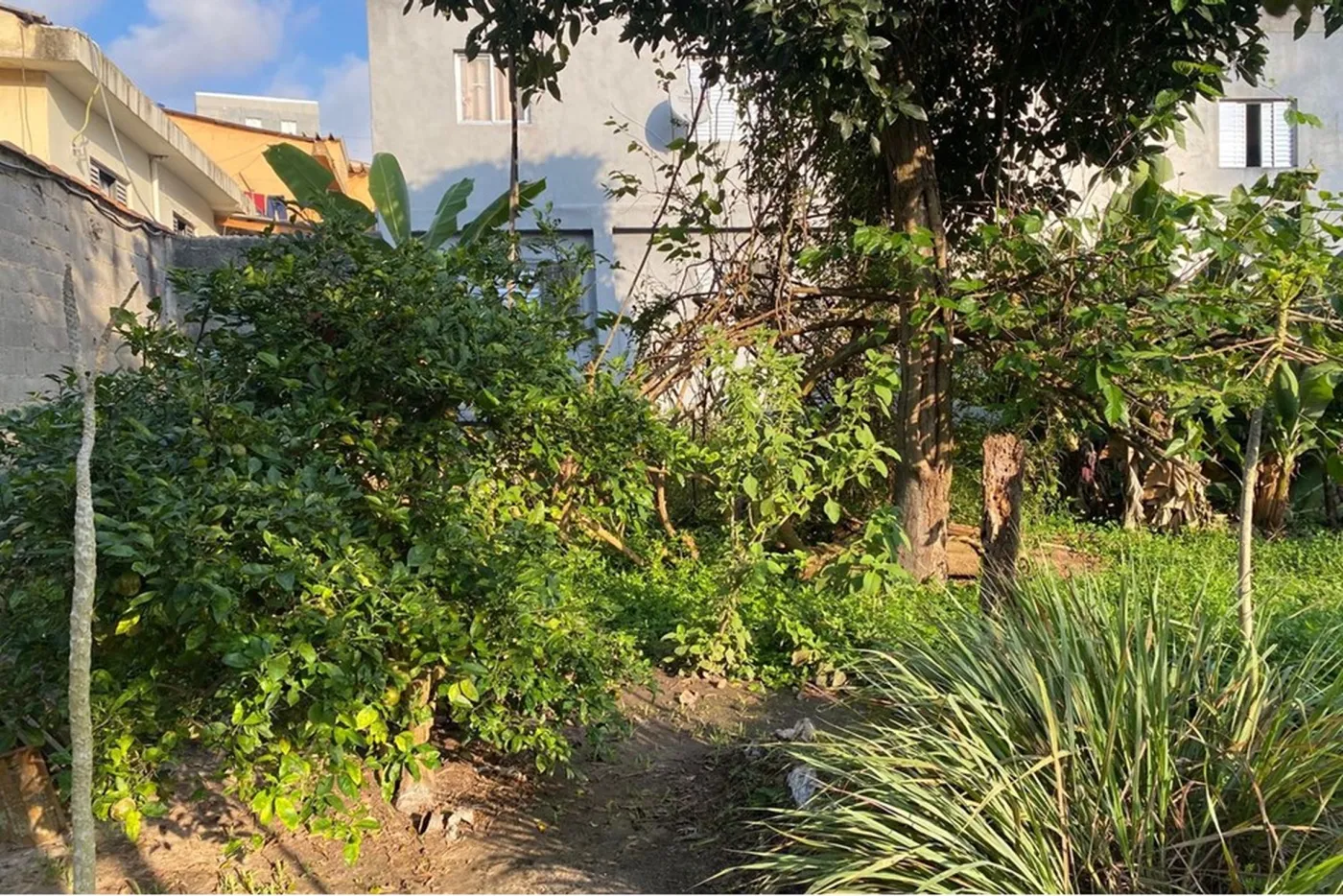 VAP 1168 Lote 630821021-21 - REMAX Exclusive Exclusividades — foto 3