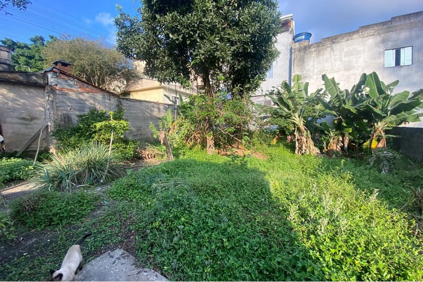 VAP 1168 Lote 630821021-21 - REMAX Exclusive Exclusividades — foto 5
