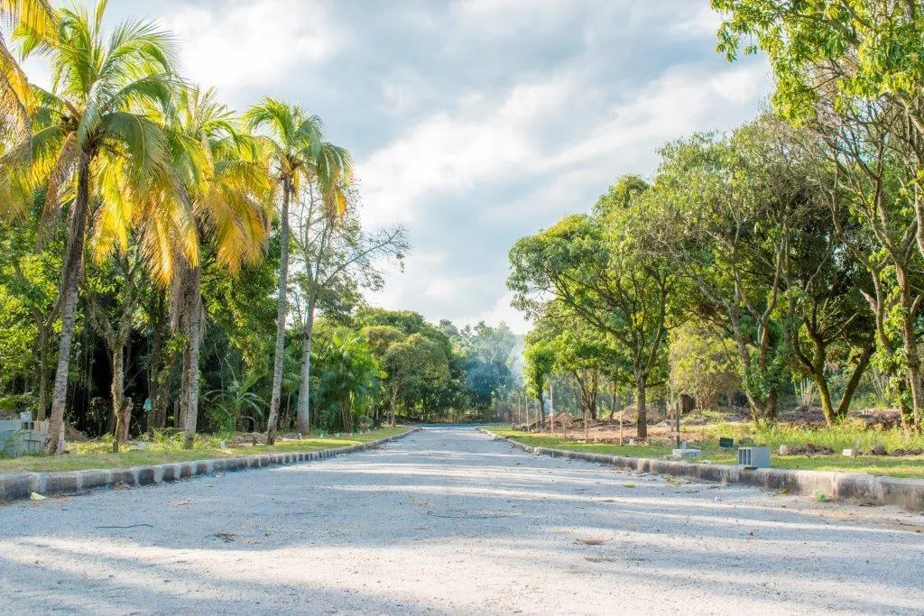 Morada do Bosque - Pró Lotes — foto 4