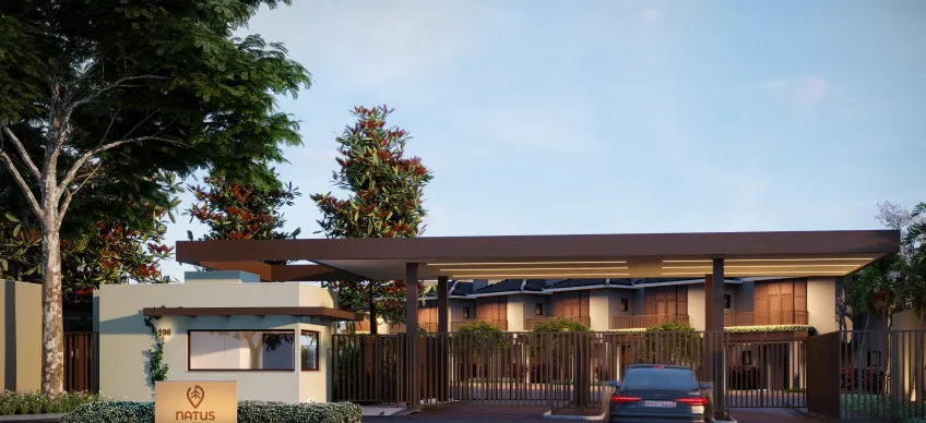 Natus Home - AZO Inc — foto 2