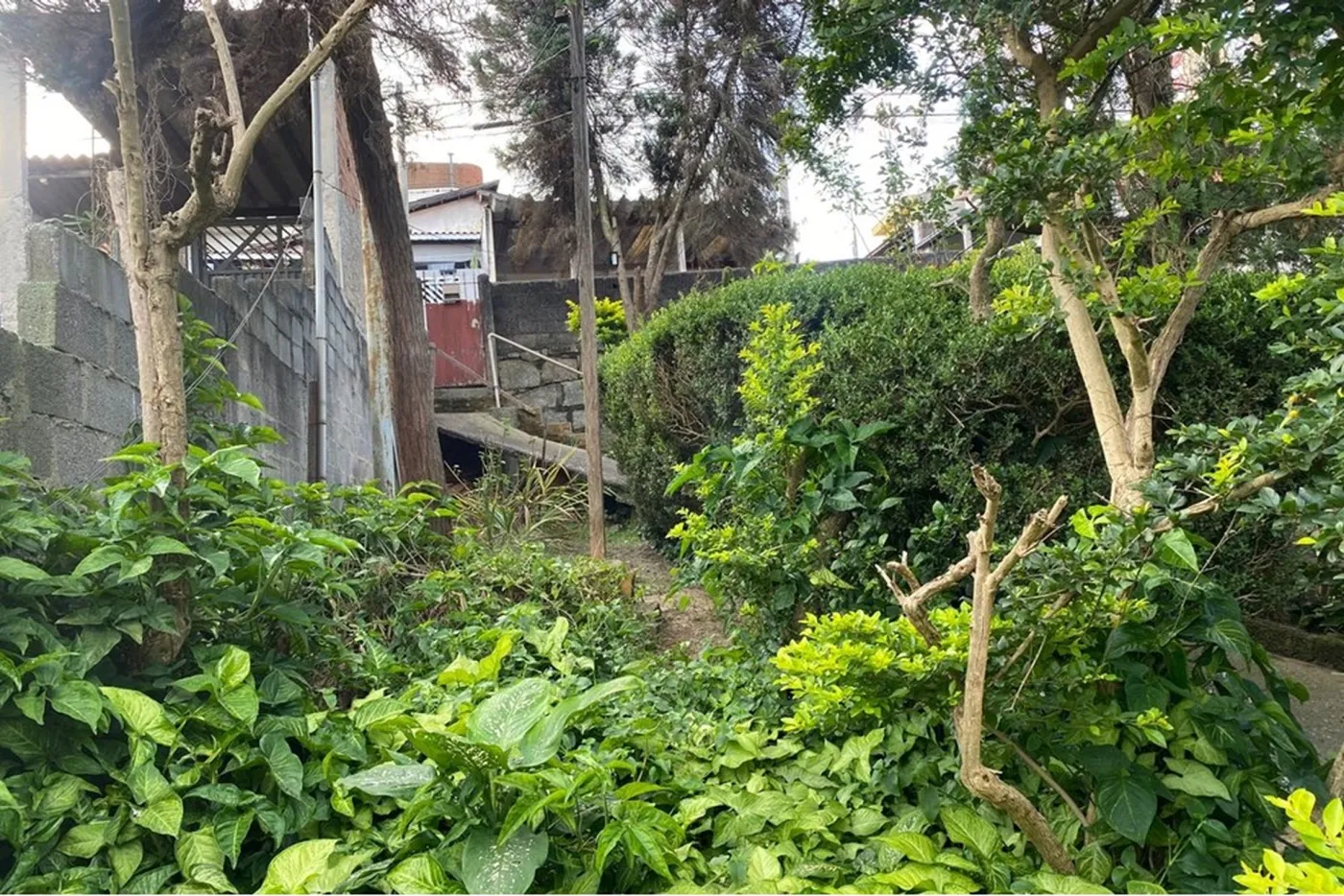 VAP 1168 Lote 630821021-21 - REMAX Exclusive Exclusividades — foto 2