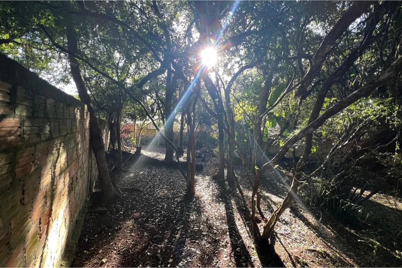 BVSL 360 Lote 612541001-253 - REMAX Street Exclusividades — foto 4