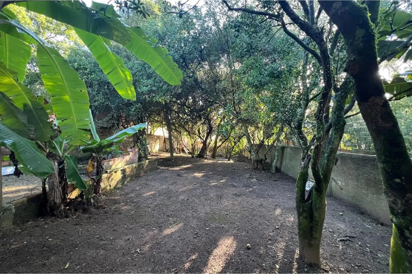 BVSL 360 Lote 612541001-253 - REMAX Street Exclusividades — foto 5