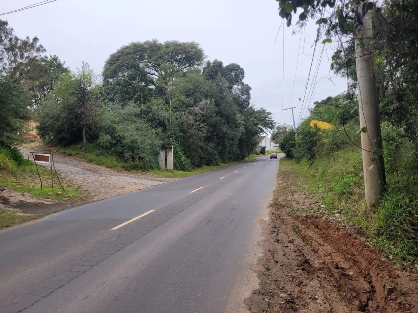 HGL 2605 Lote 0003 - Menegotto Exclusividades — foto 3