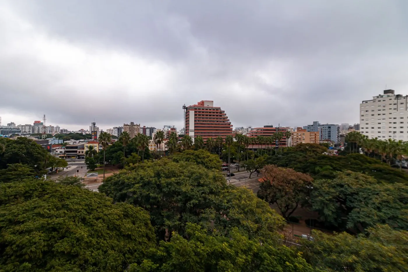 SP 131 Apto 610221006-1 - REMAX Donno Exclusividades — foto 4