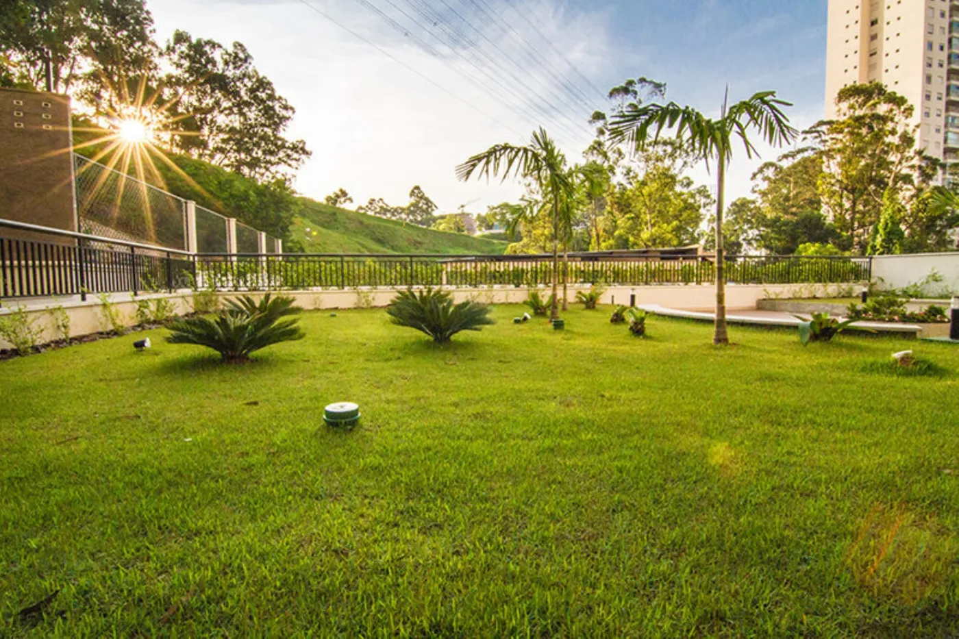 Sense Botanic - Exto