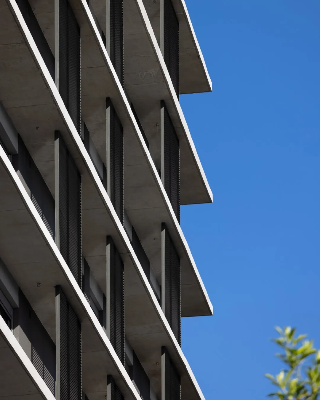 iO Jaime Telles - Wikihaus