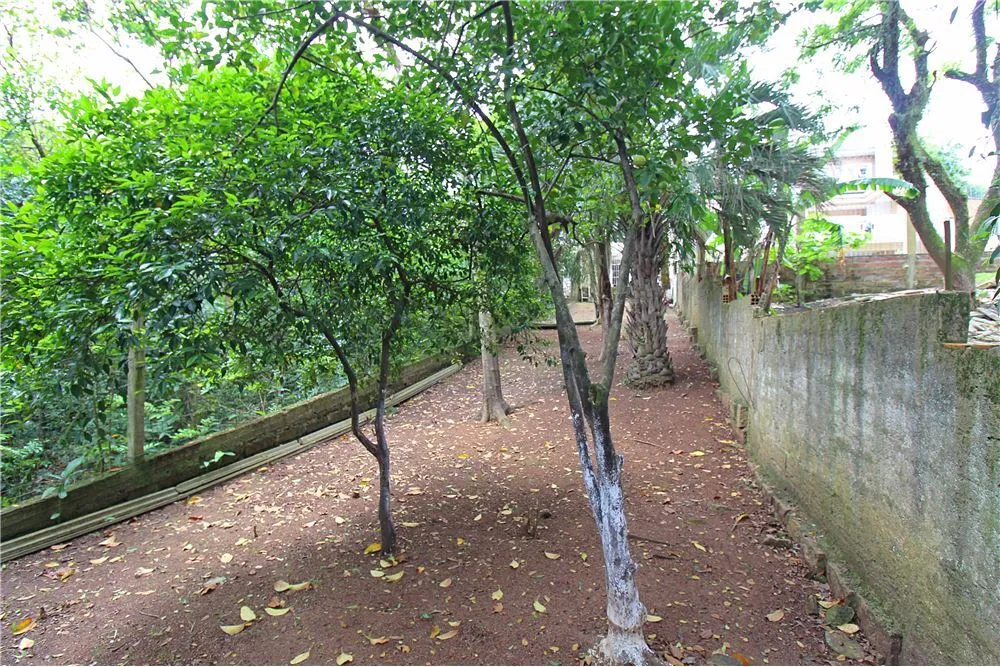 MFDF 185 Casa 610221046-2 - REMAX Donno Exclusividades