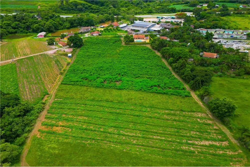 CJ 1 690591033-62 - REMAX Máxima Exclusividades