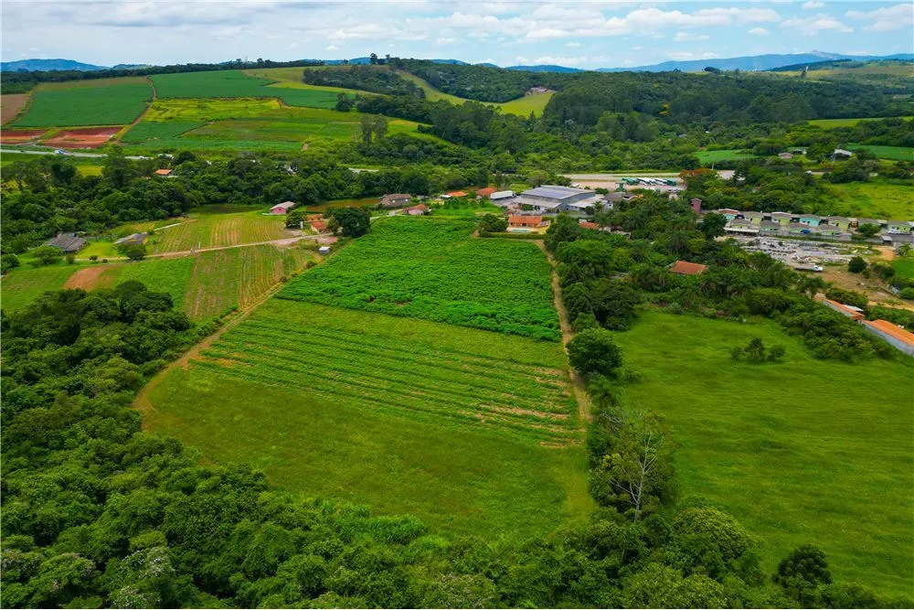 CJ 1 690591033-62 - REMAX Máxima Exclusividades