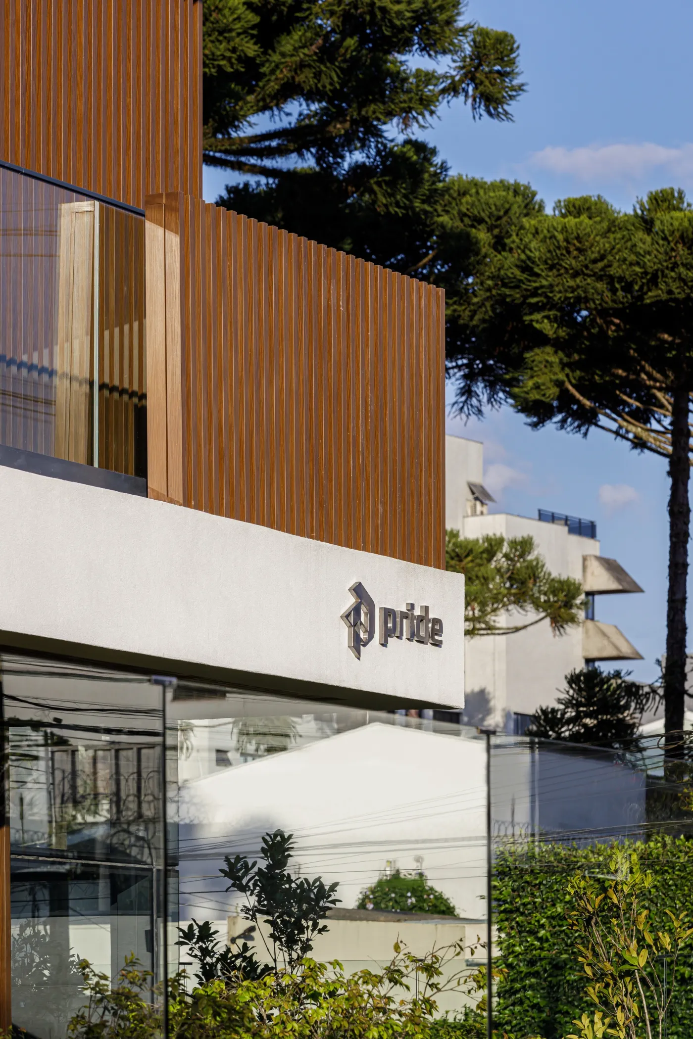 Palazzo Saldanha - Pride