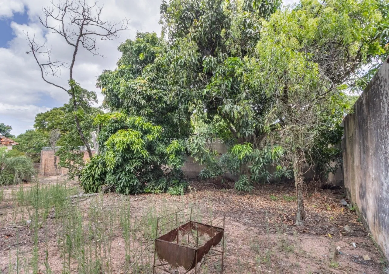 CC 262 Lote 44660 - VB Assessoria Imobiliária Exclusividades