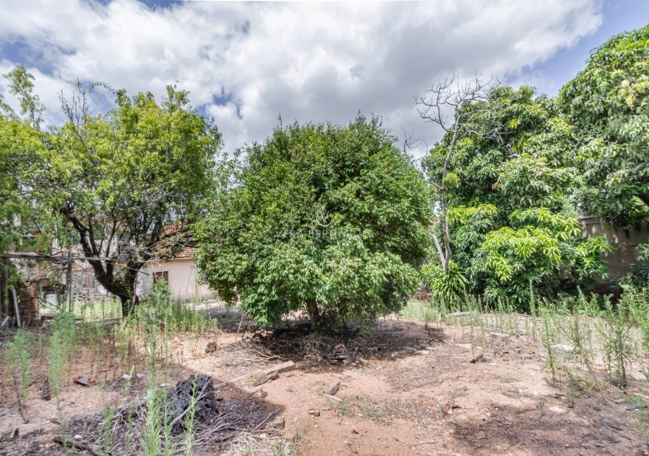 CC 262 Lote 44660 - VB Assessoria Imobiliária Exclusividades