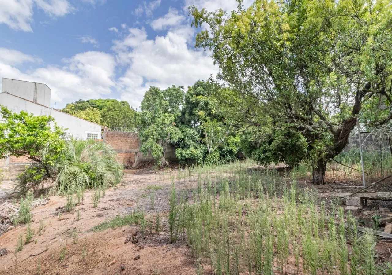 CC 262 Lote 44660 - VB Assessoria Imobiliária Exclusividades