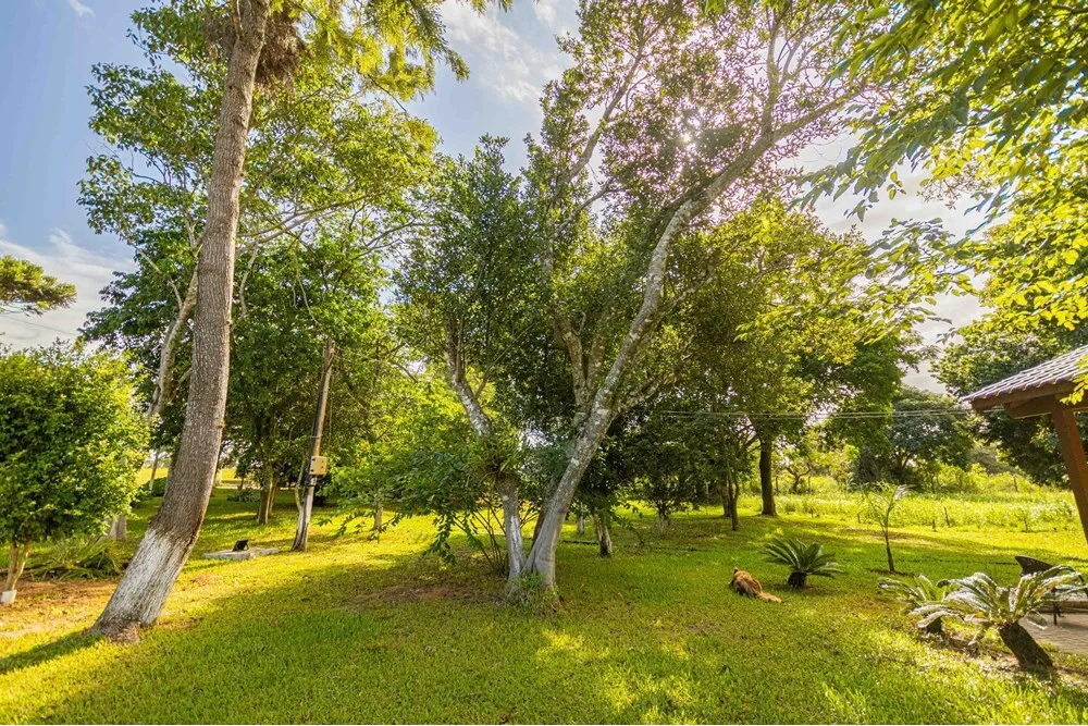ÁCDP 2599 612531046-158 - Remax MC3 Exclusividades