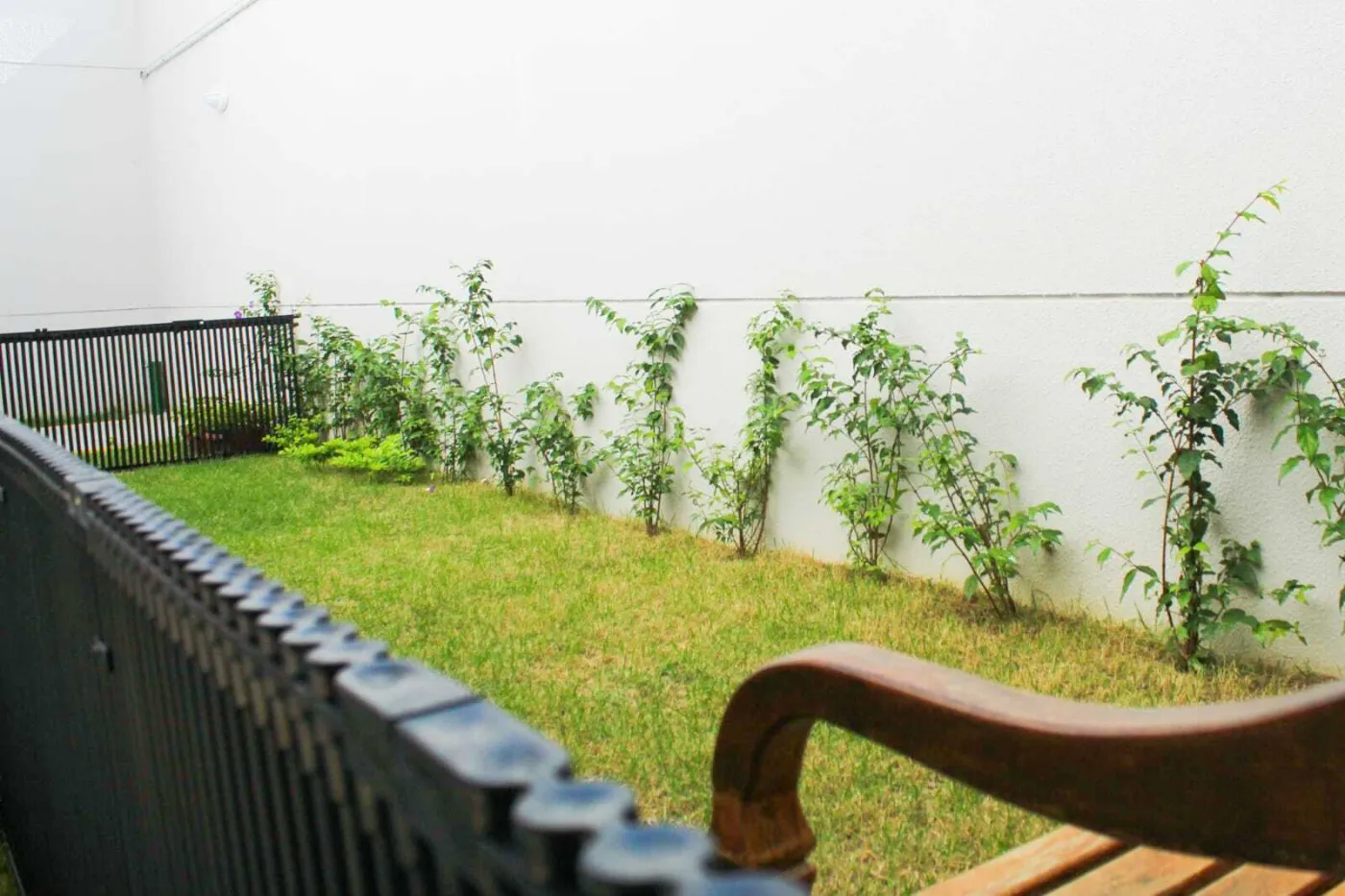 Jardim da Vila - Forza Construtora