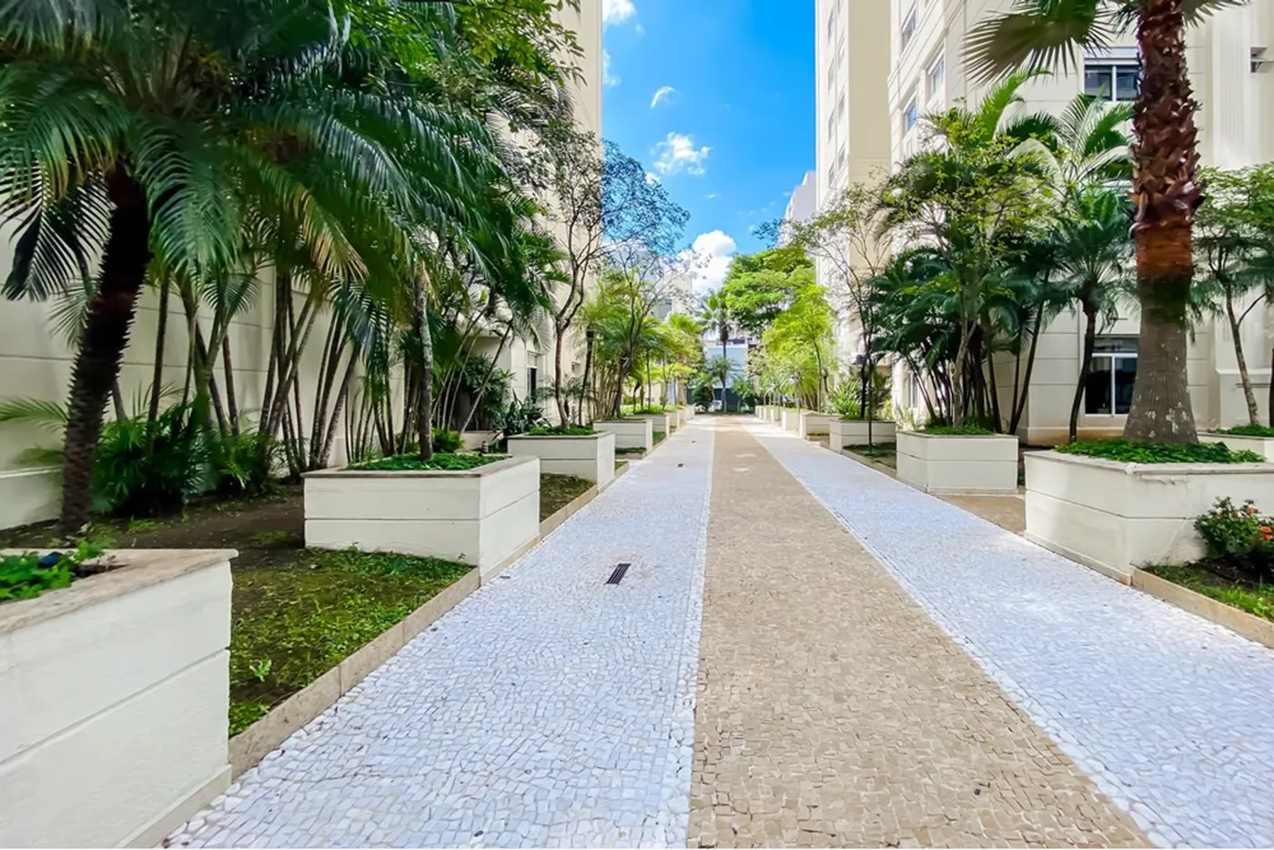 MDS 12 Apto 601721050-1 - REMAX Front Exclusividades